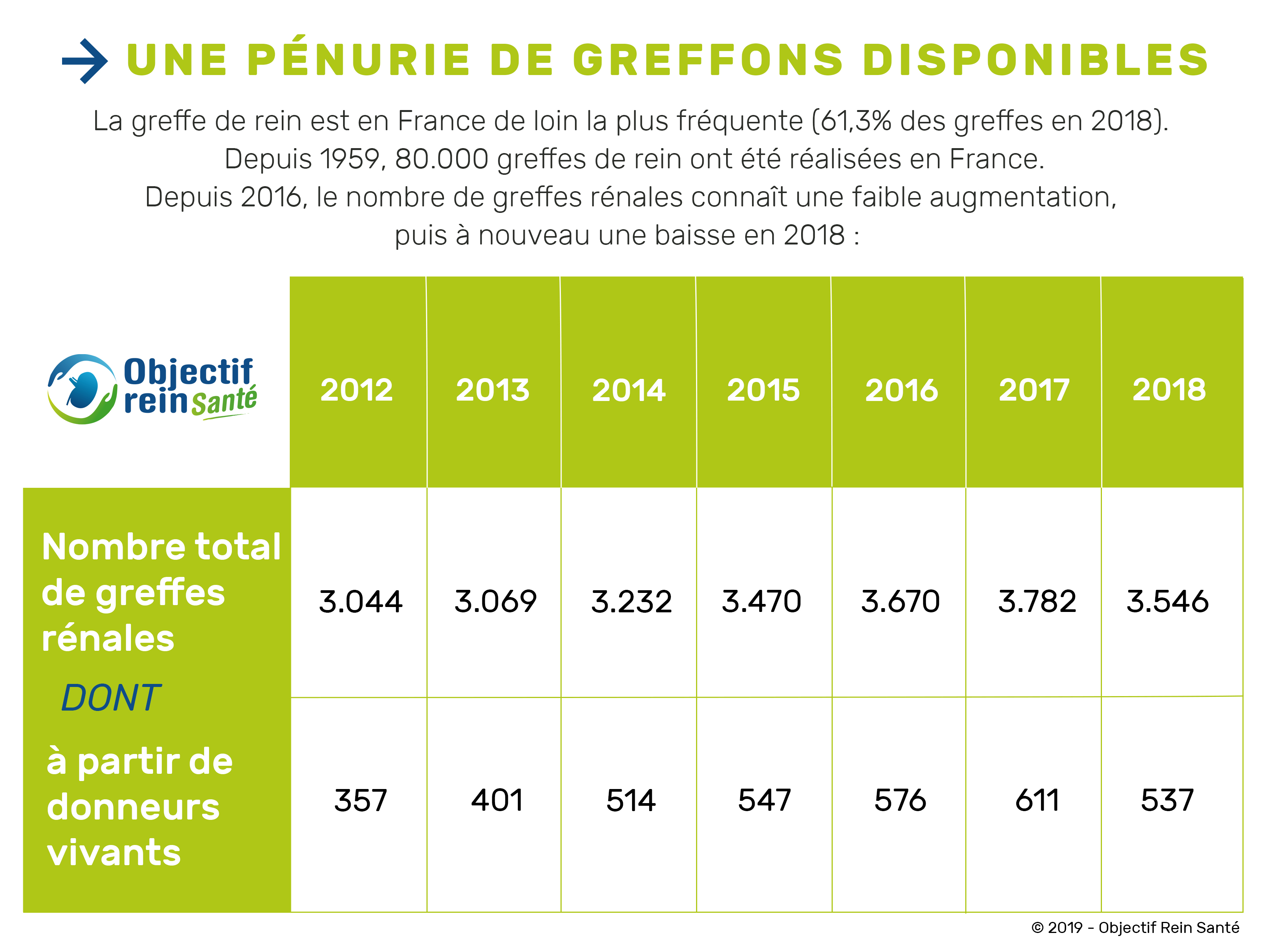 Insuffisance rénale, maladies rénales, dialyse, greffe de rein l Objectif Rein Santé