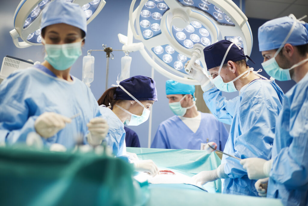Transplantation rein porc