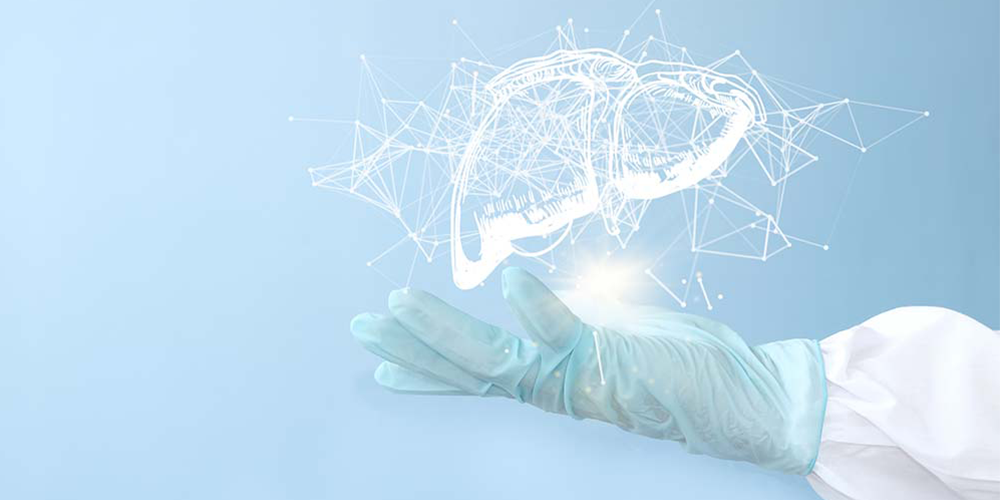 illustration d'un rein bioartificiel